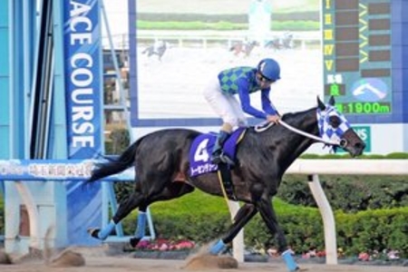 浦和・小久保智厩舎トーセンガーネットから禁止薬 …