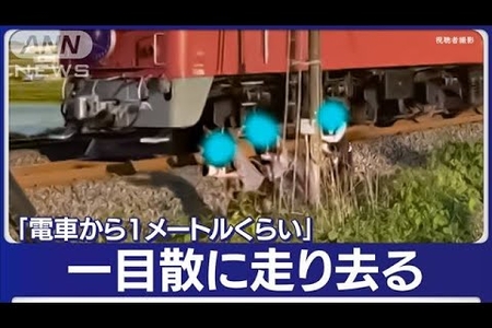 だるま 5 号